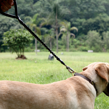 Dogness Correa Elástica Anti Jalones Para Perro