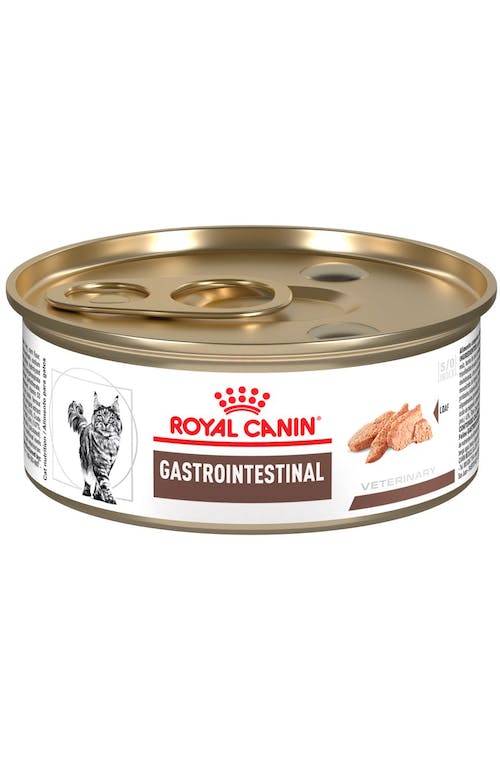 LATA ROY GATO GASTRO-INTESTINAL HE 165G  66205